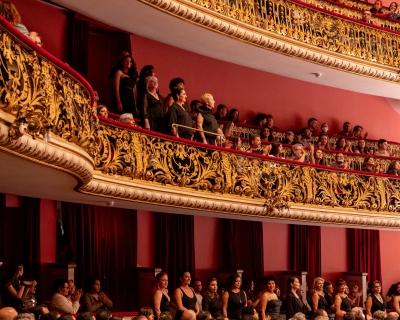 Floresta Brasileira - TMSP