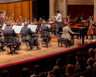 Floresta Brasileira - TMSP