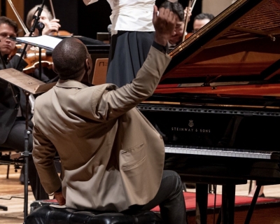 Floresta Brasileira - TMSP