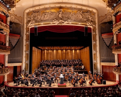 Floresta Brasileira - TMSP