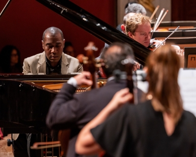 Floresta Brasileira - TMSP