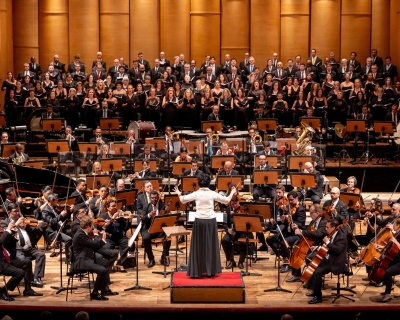 Floresta Brasileira - TMSP