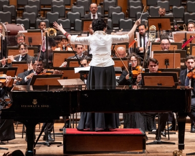 Floresta Brasileira - TMSP