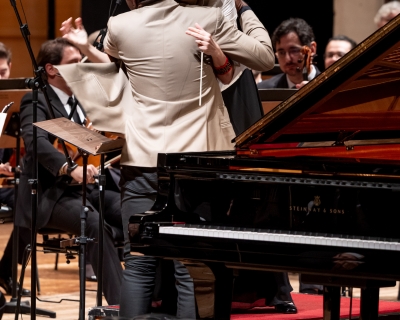 Floresta Brasileira - TMSP